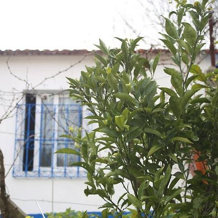 Sintra Nomad Lodge Ngoại thất bức ảnh