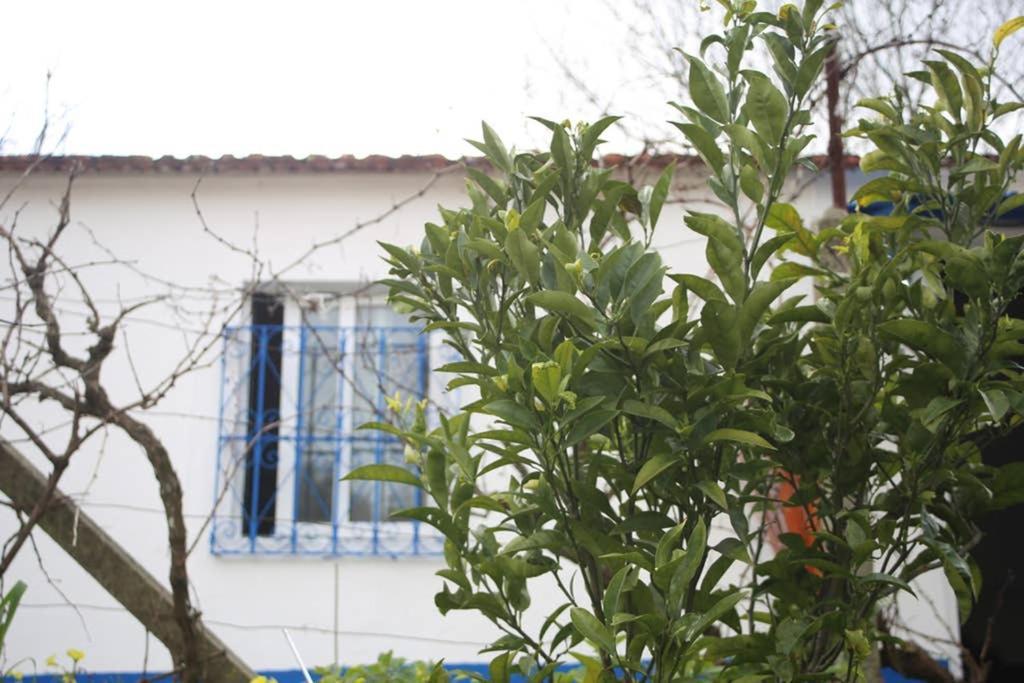 Sintra Nomad Lodge Ngoại thất bức ảnh
