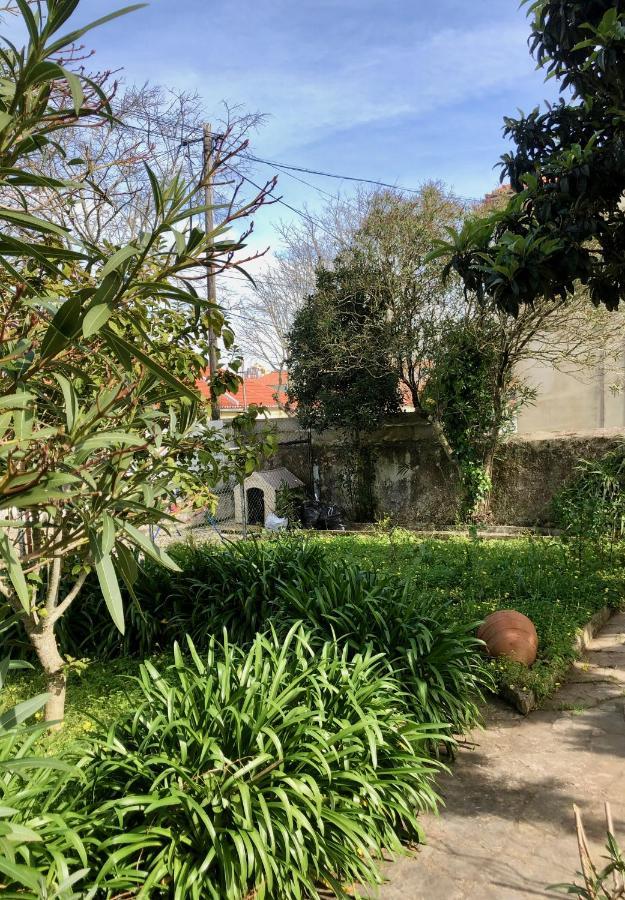 Sintra Nomad Lodge Ngoại thất bức ảnh