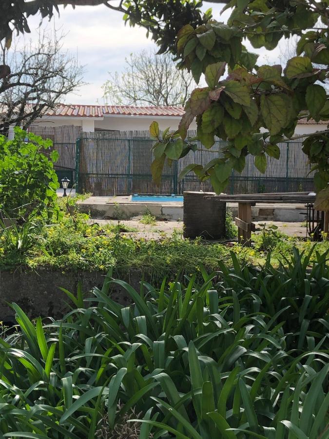 Sintra Nomad Lodge Ngoại thất bức ảnh